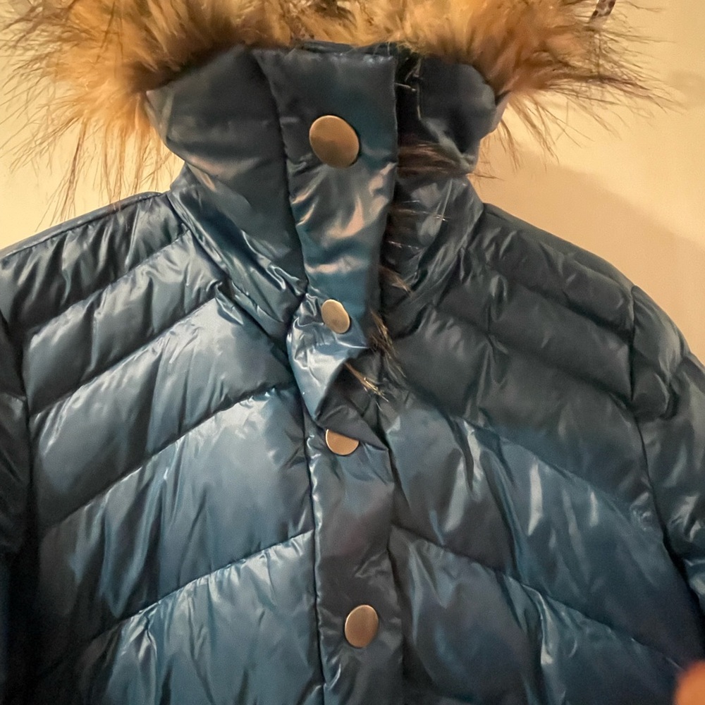 Jacket - Picture 6 of 12